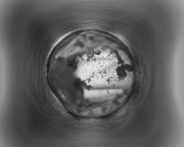 X0000086260879200704122008