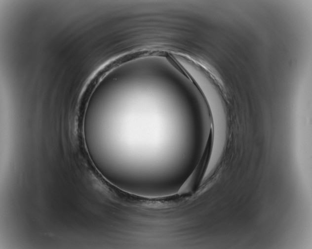 X0000086260880200704122008