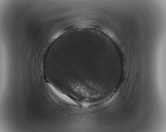 X0000086260881200704122008