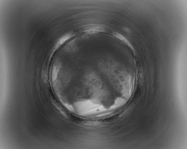 X0000086260882200704122008