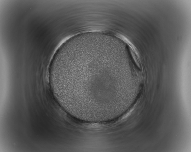 X0000086260883200704122008