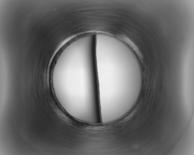 X0000086260884200704122008