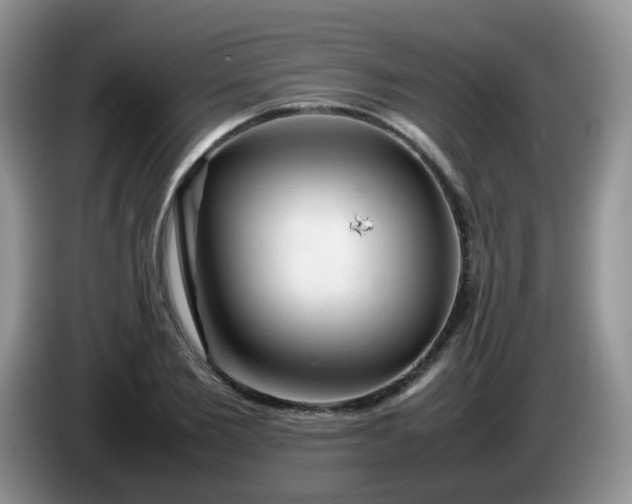 X0000086260885200704122008