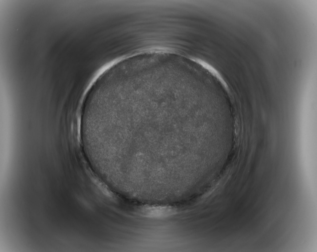 X0000086260886200704122008