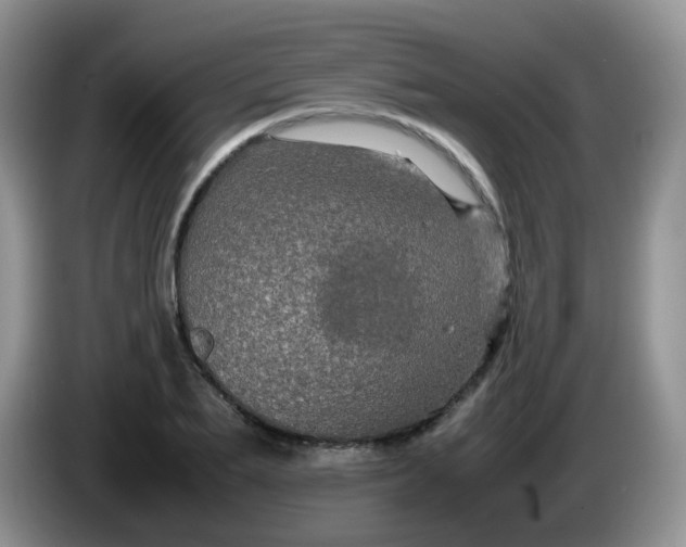 X0000086260887200704122008