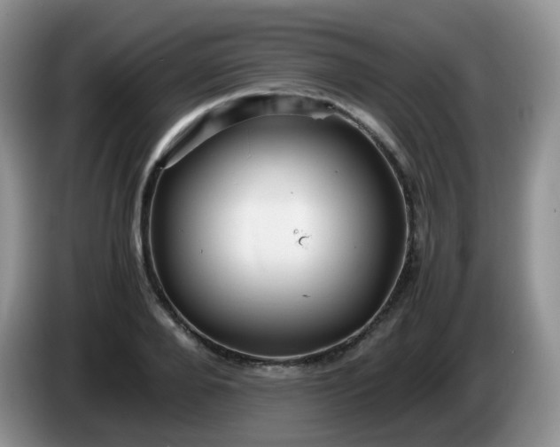 X0000086260888200704122008