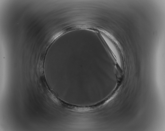 X0000086260889200704122008