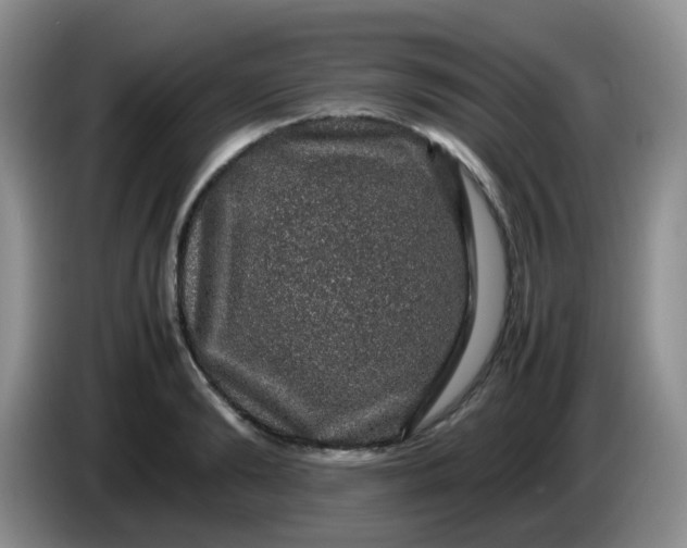 X0000086260894200704122008