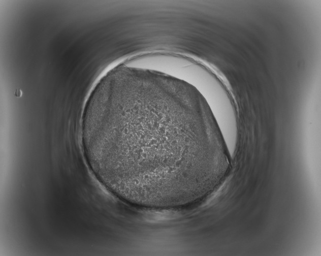 X0000086260895200704122008
