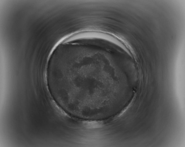 X0000086260896200704122008