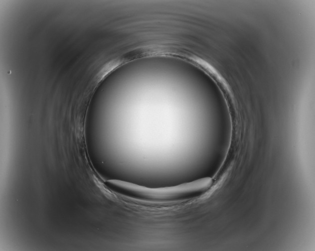 X0000086260897200704122008