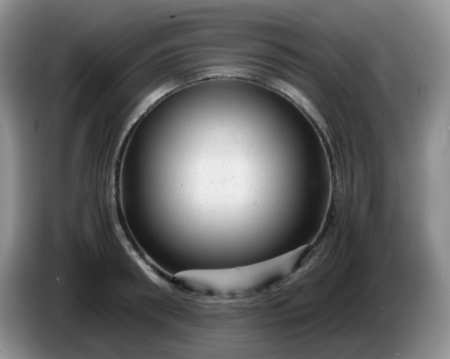 X0000086260898200704122008