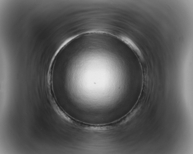 X0000086260900200704122008