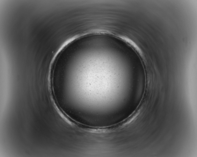 X0000086260902200704122008