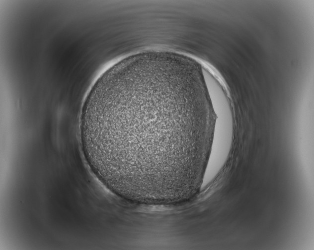 X0000086260903200704122008