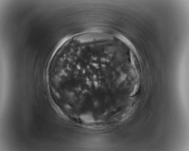 X0000086260907200704122008