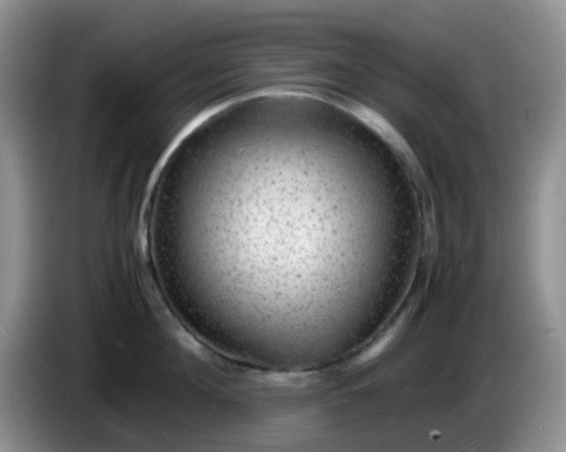 X0000086260908200704122008