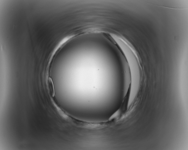 X0000086260909200704122008