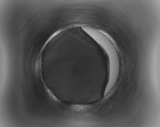 X0000086260910200704122008