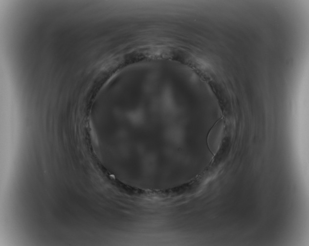 X0000086260913200704122007