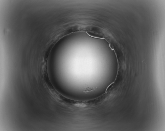 X0000086260914200704122007