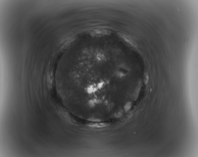 X0000086260915200704122007