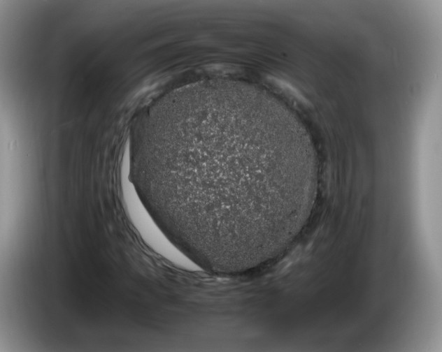 X0000086260917200704122007