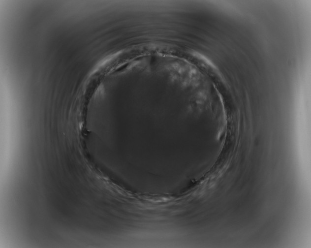 X0000086260919200704122007