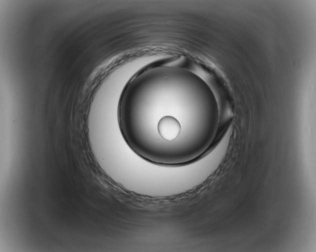X0000086260920200704122007