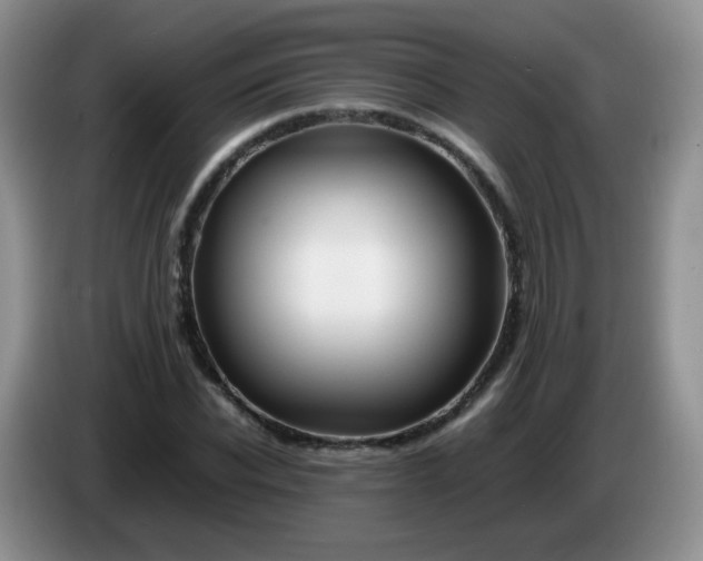 X0000086260926200704122007