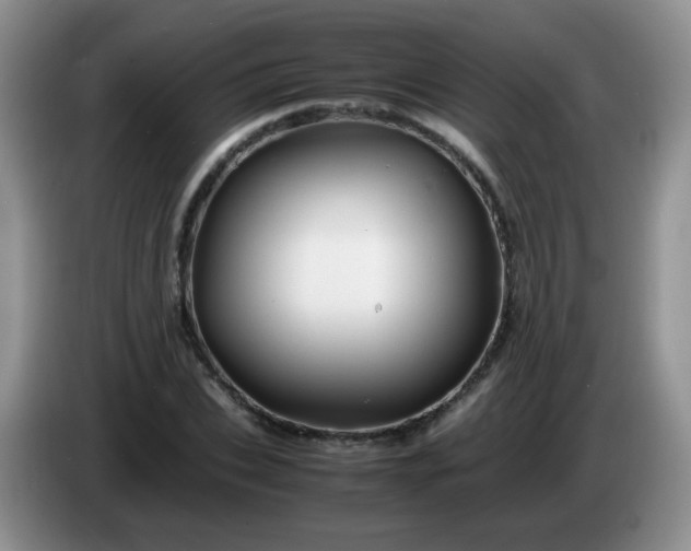 X0000086260927200704122007