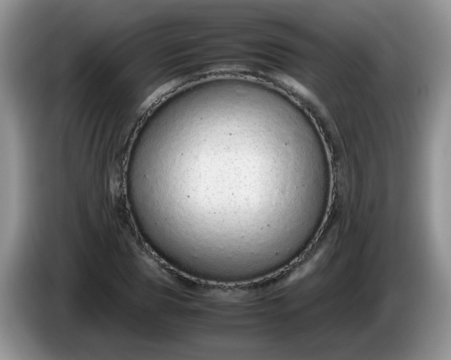 X0000086260929200704122007