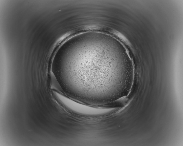 X0000086260930200704122007