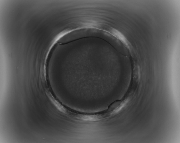 X0000086260932200704122007