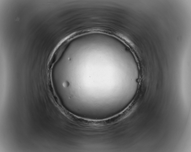X0000086260933200704122007