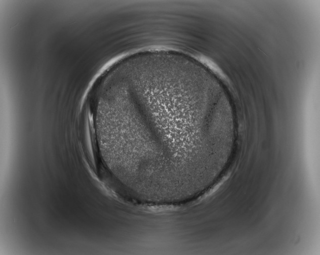 X0000086260934200704122007