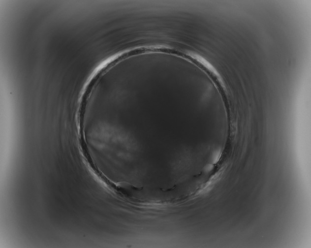 X0000086260935200704122007