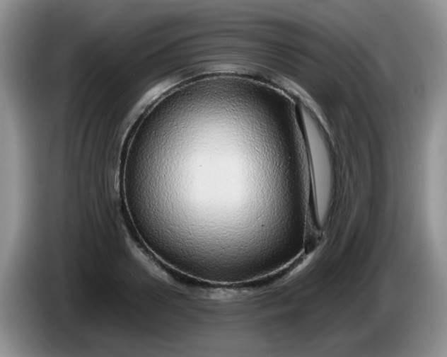 X0000086260938200704122007