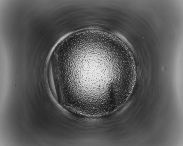 X0000086260939200704122008