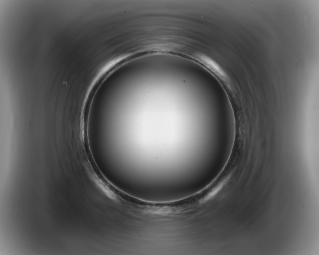 X0000086260940200704122008