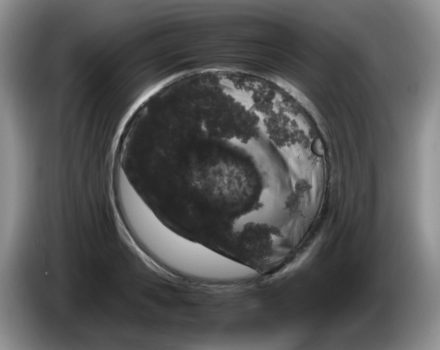 X0000086260941200704122008