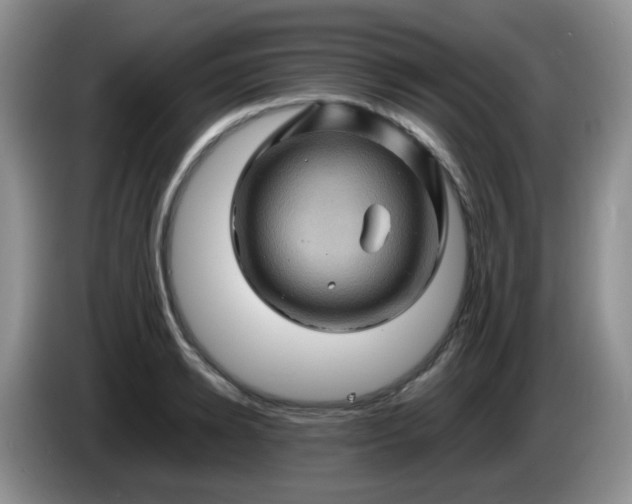 X0000086260942200704122008