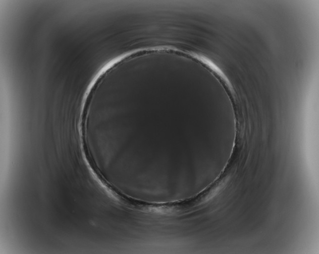 X0000086260943200704122008