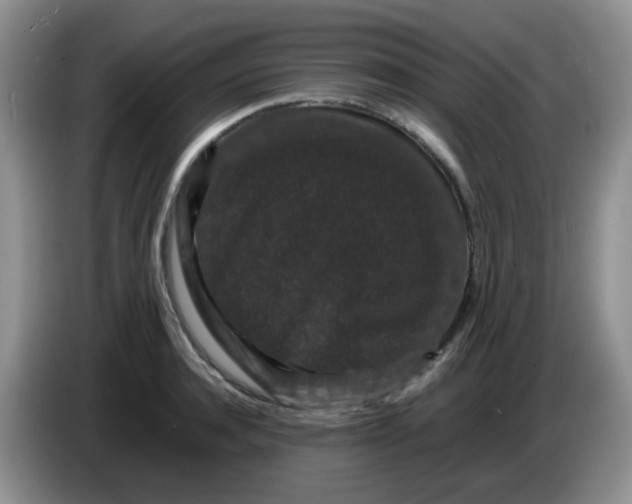 X0000086260944200704122008