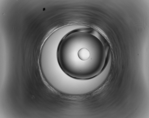 X0000086260946200704122008
