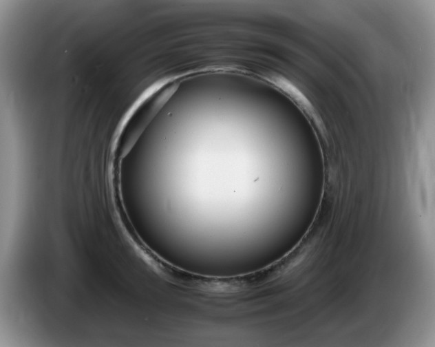 X0000086260947200704122008