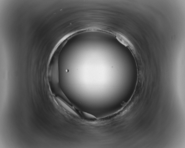 X0000086260948200704122008