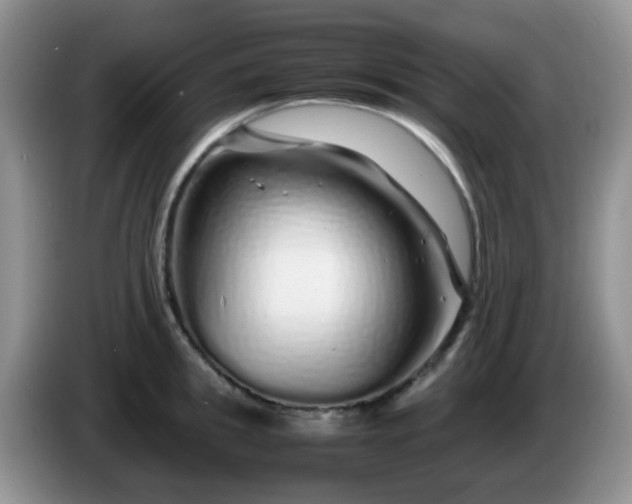X0000086260949200704122008