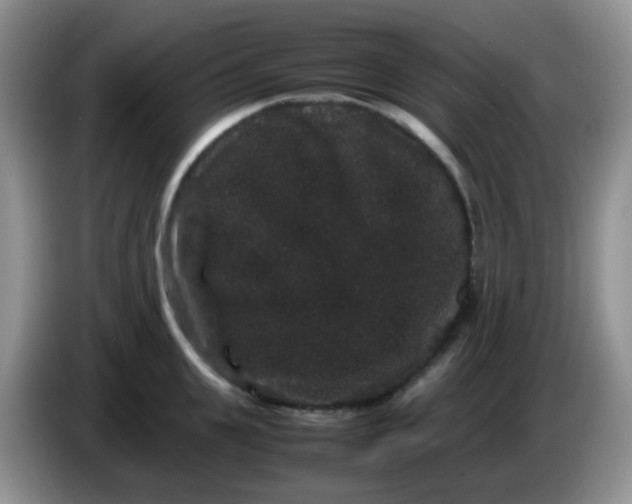 X0000086260951200704122008