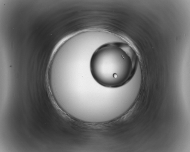 X0000086260952200704122008